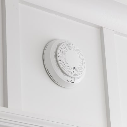 Ithaca smoke detector adt