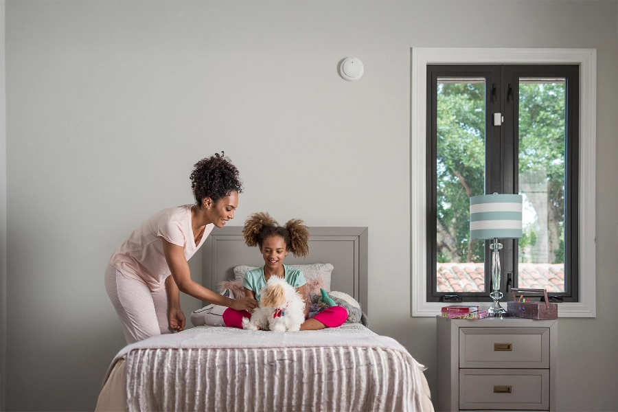 smoke & carbon detector Ithaca